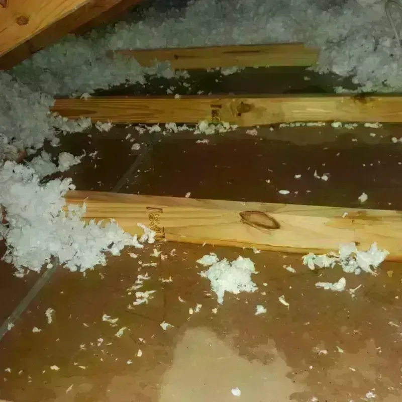 Attic Water Damage in Greenwood County, SC